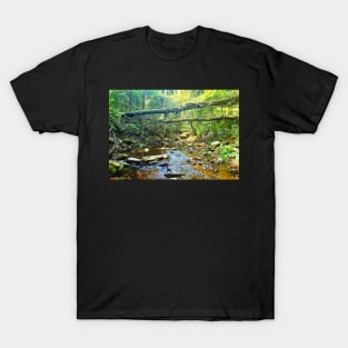 Riverbed Mountain Stream T-Shirt